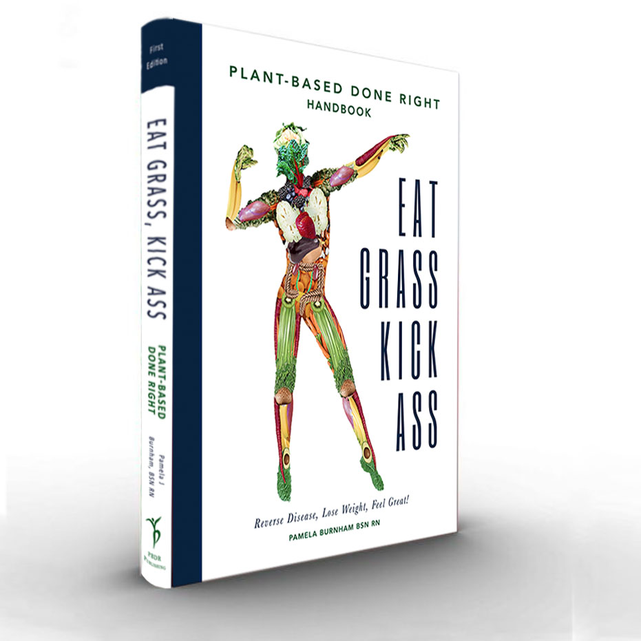 Top Selling Plant-Based Diet E Book for Sale